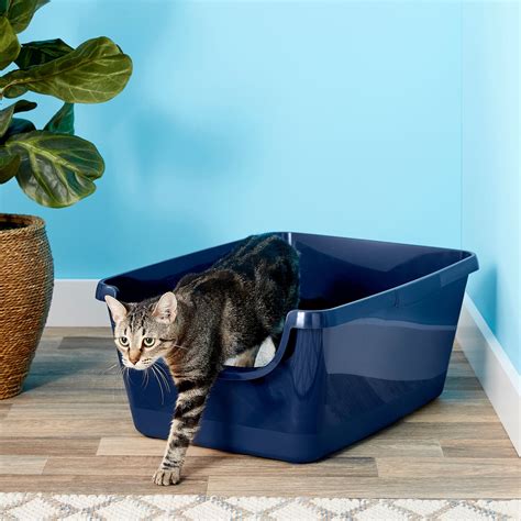 frisco high sided litter box